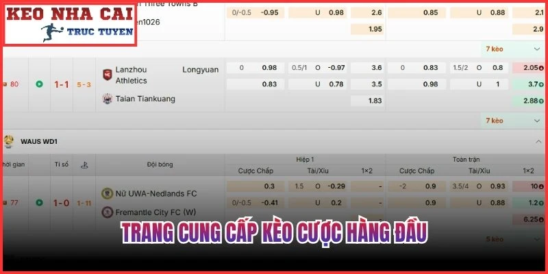 Trang cung cấp kèo cược hàng đầu